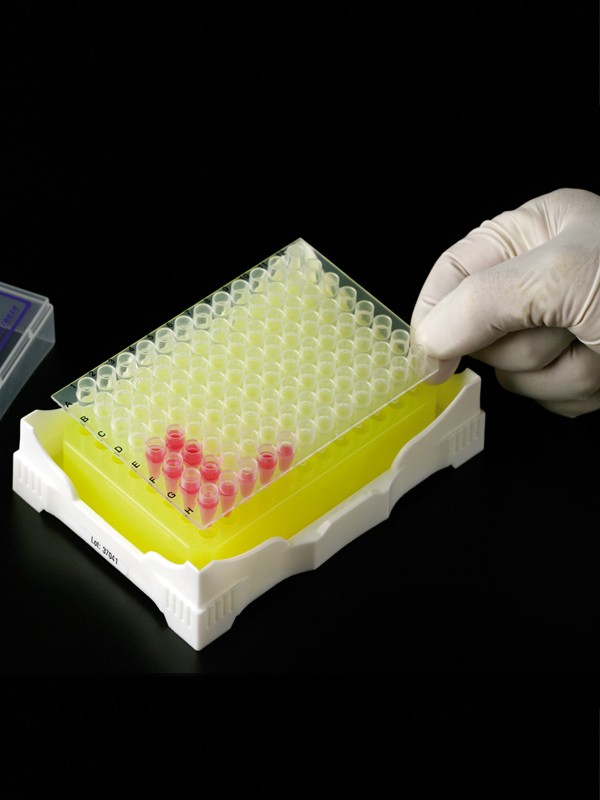 Gradilla IsoFreeze para PCR con gel refrigerante indicador de temperatura