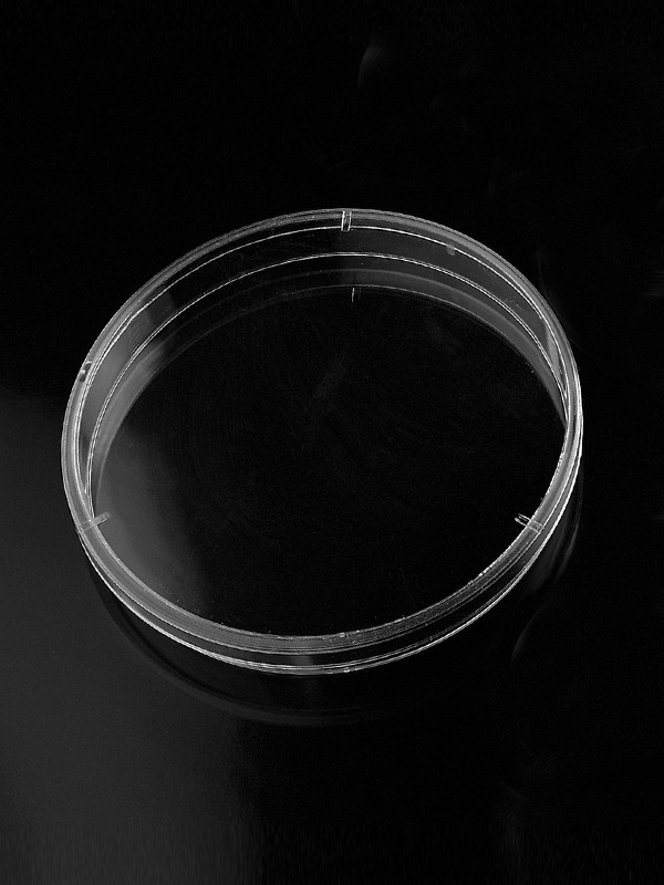 Placas Petri 140 x 20 mm 