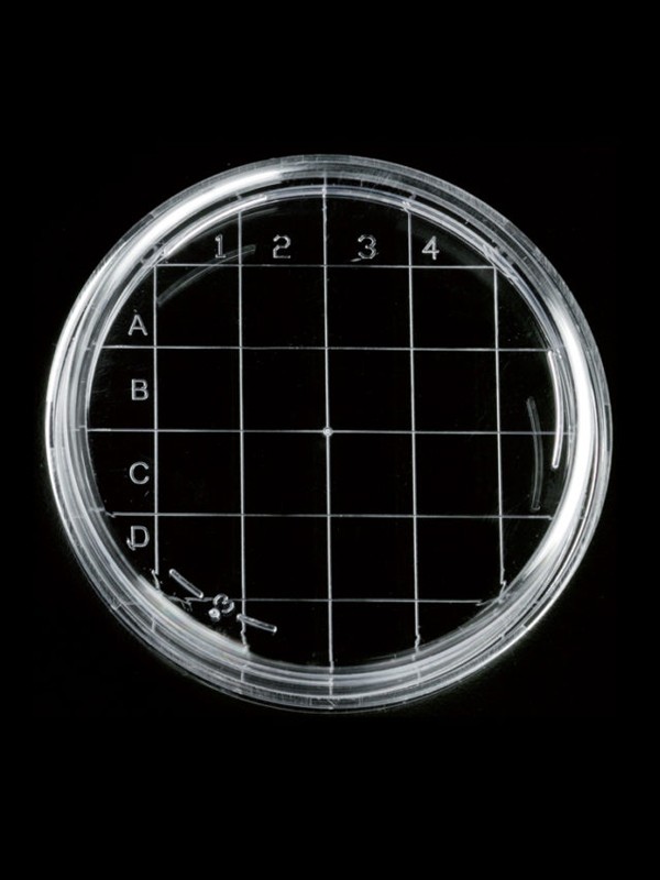 FATTERYU 10Pcs Placas de Petri de plástico estéril Placa de Cultivo de Tejido Celular de Laboratorio 55 mm x 15 mm
